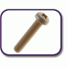 PEEK® pan head screw [180] (180042570409)
