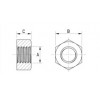 Tranparent nut PC [170-1] (170000800022)